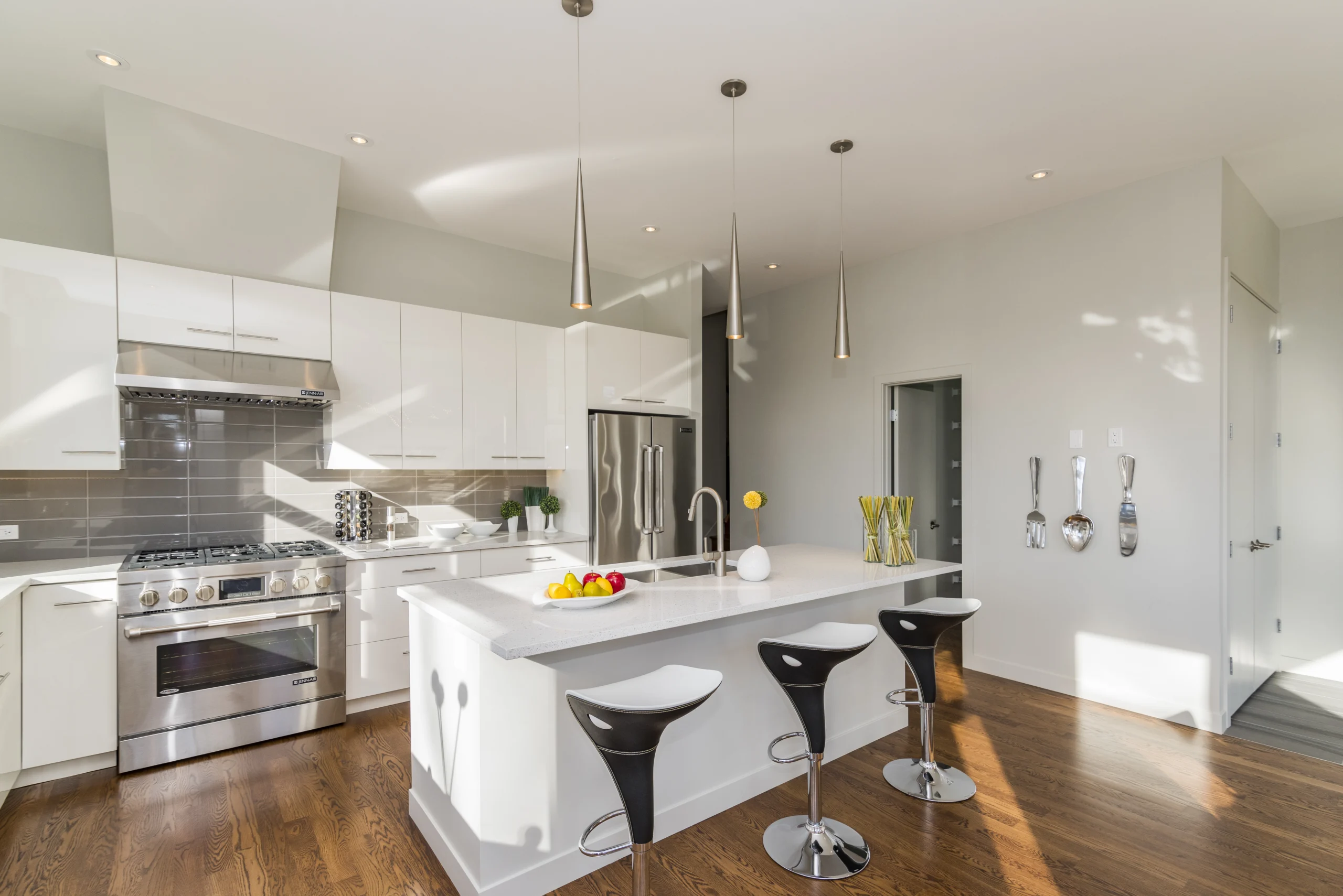 Modern House Kitchen